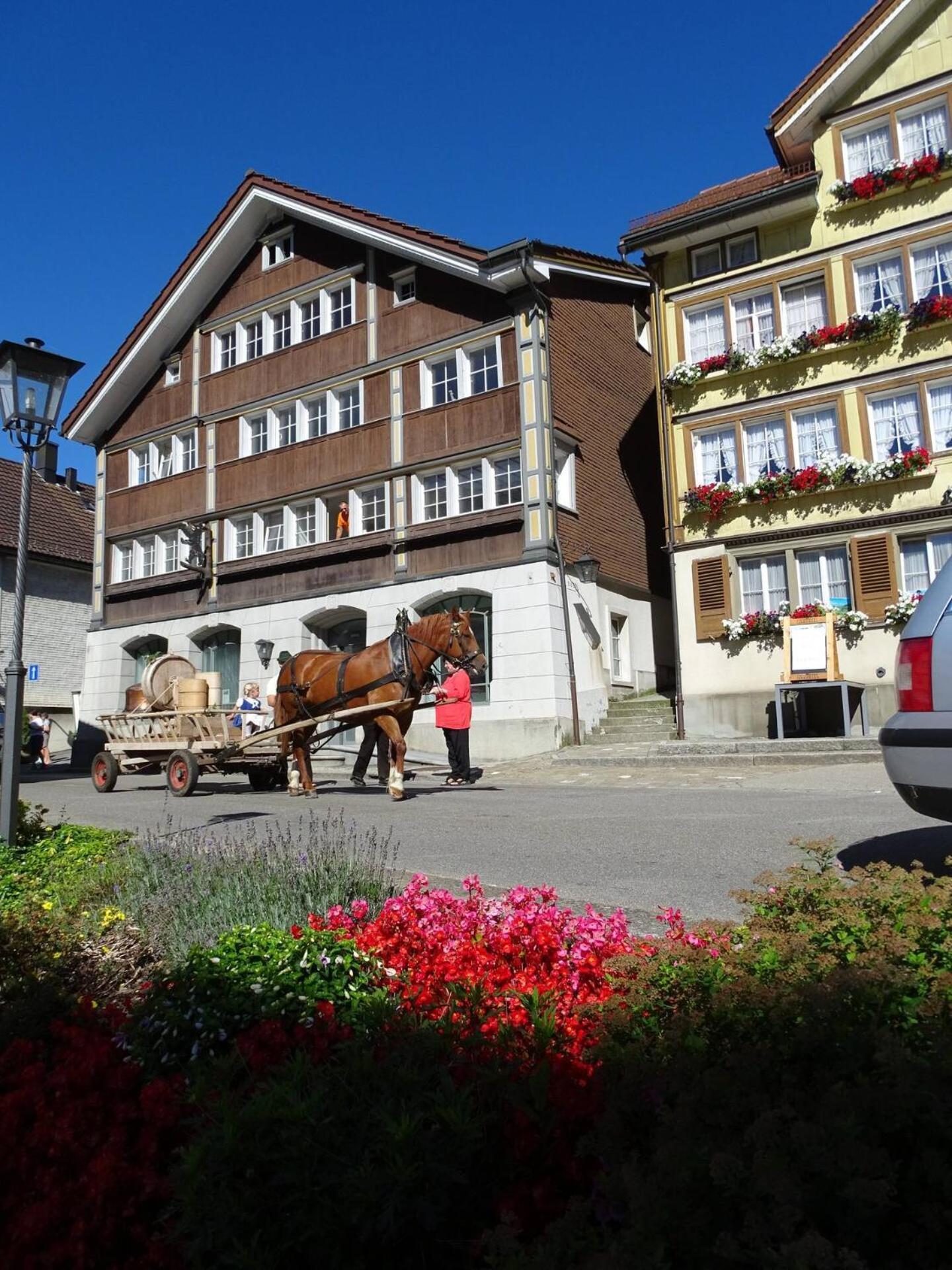 Alpen-Paradies Edelweiss Urnasch Экстерьер фото